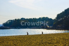 바다, 하늘, 구름, 풍경, 해변, 사진,이미지,일러스트,캘리그라피 - 황이작가 크라우드픽 - 저작권 걱정 없는 상업용 이미지