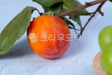 감, 가을, 열매, persimmon, persimmonfruit, 사진,이미지,일러스트,캘리그라피 - hanuriblue작가 크라우드픽 - 저작권 걱정 없는 상업용... 