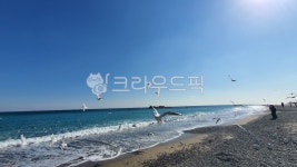 바다, 경주, 봉길대왕암해변, 문무대왕릉, sea, 사진,이미지,일러스트,캘리그라피 - 니나노뭉작가 크라우드픽 - 저작권 걱정 없는 상업용 이미지