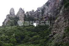 독도, 울릉도, 독도는우리땅, 동해, 우산국, 사진,이미지,일러스트,캘리그라피 - 나그네길작가 크라우드픽 - 저작권 걱정 없는 상업용 이미지