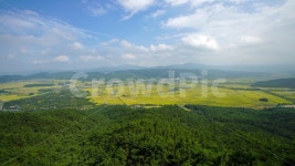 논밭, 경주, 남산, 금오정, 벼농사 사진, 이미지 - 크리에이티브열정작가 가장 한국적인 스톡 사진 - 크라우드픽