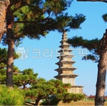 충주탑센타(애터미) | 중앙탑, 국보, 보물, 탑, 충주, 사진,이미지,일러스트,캘리그라피 - 공정보도작가 크라우드픽 - 저작권 걱정 없는 상업용 이미지