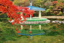 내장산, 우화정의가을, 국립공원내장산, 가을, 단풍, 사진,이미지,일러스트,캘리그라피 - 에레스뚜작가 크라우드픽 - 저작권 걱정 없는 상업용 이미지