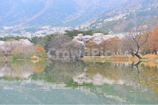경남, 창원, 진해, 내수면환경생태공원, 공원, 사진,이미지,일러스트,캘리그라피 - 영산공작가 크라우드픽 - 저작권 걱정 없는 상업용 이미지