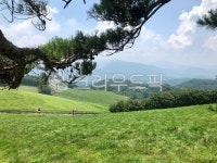 양떼목장, 목초지, 자연, 들, field, 사진,이미지,일러스트,캘리그라피 - 사랑이여라작가 크라우드픽 - 저작권 걱정 없는 상업용 이미지