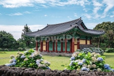 한옥, 혼인지, 수국, 전통혼례, 제주도, 사진,이미지,일러스트,캘리그라피 - swpic작가 크라우드픽 - 저작권 걱정 없는 상업용 이미지