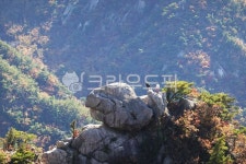 북한산, 산, 등산객, 바위, 절벽, 사진,이미지,일러스트,캘리그라피 - 나비처럼작가 크라우드픽 - 저작권 걱정 없는 상업용 이미지
