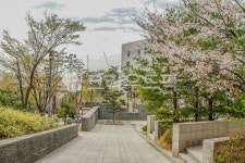 고대, 고려대, 고려대학교, 서울, 안암동, 사진,이미지,일러스트,캘리그라피 - imlover작가 크라우드픽 - 저작권 걱정 없는 상업용 이미지