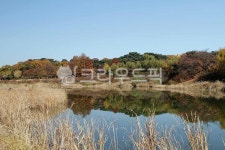 서울, 송파구, 방이동, 도시, 공원, 사진,이미지,일러스트,캘리그라피 - imlover작가 크라우드픽 - 저작권 걱정 없는 상업용 이미지