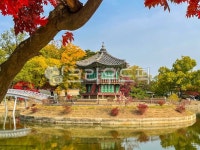 경복궁향원정, 향원정, 단풍, 경복궁향원정가을, 가을, 사진,이미지,일러스트,캘리그라피 - 작은공간작가 크라우드픽 - 저작권 걱정 없는 상업용... 