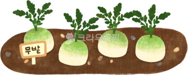 무, 무밭, 텃밭, 무심기, 채소, 사진,이미지,일러스트,캘리그라피 - agigooreum작가 크라우드픽 - 저작권 걱정 없는 상업용 이미지