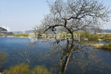 금강로하스해피로드, 둘레길, 도보길, 금강, 강, 사진,이미지,일러스트,캘리그라피 - Deep bLUE작가 크라우드픽 - 저작권 걱정 없는 상업용 이미지