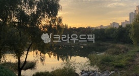 nature, 자연, 연못, 노을, 예쁜연못, 사진,이미지,일러스트,캘리그라피 - hjk4127작가 크라우드픽 - 저작권 걱정 없는 상업용 이미지