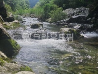 계곡, 계곡하류, 물, 돌, 계곡물, 사진,이미지,일러스트,캘리그라피 - callisto0805작가 크라우드픽 - 저작권 걱정 없는 상업용 이미지