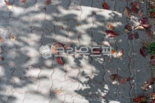 길, walkway, flagstone, 보도, 도로, 사진,이미지,일러스트,캘리그라피 - designwork작가 크라우드픽 - 저작권 걱정 없는 상업용 이미지