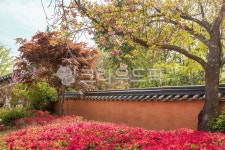 정원, garden, nature, 자연, 옥외, 사진,이미지,일러스트,캘리그라피 - 수리산호랑이작가 크라우드픽 - 저작권 걱정 없는 상업용 이미지