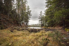 알공퀸파크, 캐나다, 국립공원, 알공퀸, 비버댐, 사진,이미지,일러스트,캘리그라피 - coool885작가 크라우드픽 - 저작권 걱정 없는 상업용 이미지