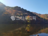 nature, 자연, water, 물, lake, 사진,이미지,일러스트,캘리그라피 - Ngsky91작가 크라우드픽 - 저작권 걱정 없는 상업용 이미지
