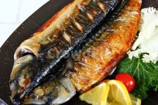 고등어, 생선, 등푸른생선, 구이, 생선구이, 사진,이미지,일러스트,캘리그라피 - Nstonekwak작가 크라우드픽 - 저작권 걱정 없는 상업용 이미지