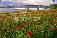 강변산책로, 강변길, 산책로, 강변둘레길, 꽃밭, 사진,이미지,일러스트,캘리그라피 - space작가 크라우드픽 - 저작권 걱정 없는 상업용 이미지