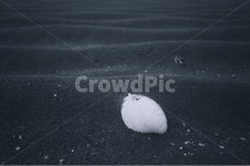 뻘, 바다, 서해, 감성사진, 조개껍질, 사진,이미지,일러스트,캘리그라피 - Rain작가 크라우드픽 - 저작권 걱정 없는 상업용 이미지