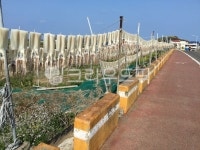 길, walkway, 보도, road, 도로, 사진,이미지,일러스트,캘리그라피 - 스틴작가 크라우드픽 - 저작권 걱정 없는 상업용 이미지