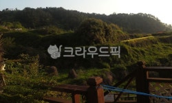 handrail, railing, 난간, grassland, 목초지, 사진,이미지,일러스트,캘리그라피 - g5684작가 크라우드픽 - 저작권 걱정 없는 상업용 이미지