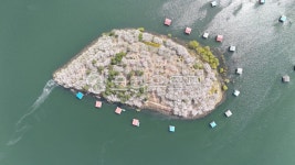 봄, 벚꽃, 섬, 초평저수지, 낚시터, 사진,이미지,일러스트,캘리그라피 - 삼각산픽작가 크라우드픽 - 저작권 걱정 없는 상업용 이미지