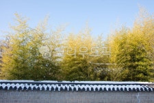 대나무, 돌, 기와, 한국전통, 돌담, 사진,이미지,일러스트,캘리그라피 - 박프로 진Studio작가 크라우드픽 - 저작권 걱정 없는 상업용 이미지