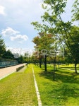 park, 공원, outdoors, 옥외, nature, 사진,이미지,일러스트,캘리그라피 - 에피유작가 크라우드픽 - 저작권 걱정 없는 상업용 이미지