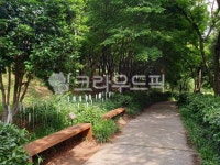 자연, 구지봉, 김해시, 공원, 벤치, 사진,이미지,일러스트,캘리그라피 - 해피캔디작가 크라우드픽 - 저작권 걱정 없는 상업용 이미지