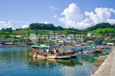 어촌, 어촌마을, 고흥, 바닷가마을, 남해바다, 사진,이미지,일러스트,캘리그라피 - jmseria작가 크라우드픽 - 저작권 걱정 없는 상업용 이미지