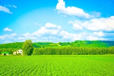 홋카이도, 시골길, 북해도, 자연풍경, 일본, 사진,이미지,일러스트,캘리그라피 - 조나단리빙스턴작가 크라우드픽 - 저작권 걱정 없는 상업용 이미지