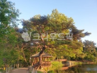 경상남도, 한국, 밀양, 위양지, 호수, 사진,이미지,일러스트,캘리그라피 - 꽁블링작가 크라우드픽 - 저작권 걱정 없는 상업용 이미지