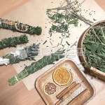 herbs, 허브, 스머지스틱, 힐링, 자연, 사진,이미지,일러스트,캘리그라피 - 냥냥주먹작가 크라우드픽 - 저작권 걱정 없는 상업용 이미지