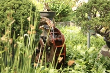 물레방아, 폭포, 자연, 녹색, 푸른, 사진,이미지,일러스트,캘리그라피 - Sj0118작가 크라우드픽 - 저작권 걱정 없는 상업용 이미지