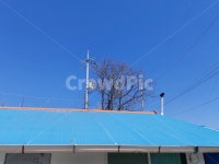 고향집, 시골집, 양철지붕집, 할머니집, 엄마집, 사진,이미지,일러스트,캘리그라피 - 일번지으뜸이작가 크라우드픽 - 저작권 걱정 없는 상업용 이미지