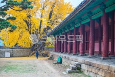 서울, 명륜동, 성균관, 유림회관, 건물, 사진,이미지,일러스트,캘리그라피 - imlover작가 크라우드픽 - 저작권 걱정 없는 상업용 이미지