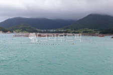 청산도, 바위섬, 갯바위, 양식장, 산, 사진,이미지,일러스트,캘리그라피 - 장구작가 크라우드픽 - 저작권 걱정 없는 상업용 이미지