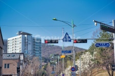 거리, 신호등, 교차로, 동네, 빨간신호등, 사진,이미지,일러스트,캘리그라피 - 4StringKing작가 크라우드픽 - 저작권 걱정 없는 상업용 이미지