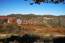 한탄강, 철원군, 태봉대교, 국가지질공원, 가을, 사진,이미지,일러스트,캘리그라피 - Deep bLUE작가 크라우드픽 - 저작권 걱정 없는 상업용 이미지