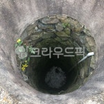 hole, 구멍, 우물속꽃, 노란꽃, 우물, 사진,이미지,일러스트,캘리그라피 - 듀댕이라구해작가 크라우드픽 - 저작권 걱정 없는 상업용 이미지