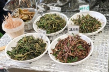 나물, 시장, 곤드레나물, 고사리, 새취나물, 사진,이미지,일러스트,캘리그라피 - Eating trip작가 크라우드픽 - 저작권 걱정 없는 상업용 이미지