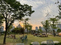 자연, 풍경, 잔디, 마당, 노을, 사진,이미지,일러스트,캘리그라피 - vasari72작가 크라우드픽 - 저작권 걱정 없는 상업용 이미지