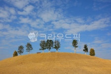 가을, 하늘, 바탕, 자연, 들, 사진,이미지,일러스트,캘리그라피 - 린진작가 크라우드픽 - 저작권 걱정 없는 상업용 이미지