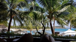 리조트, 여름, 풍경, 배경, 야자수, 사진,이미지,일러스트,캘리그라피 - 재벌집여자작가 크라우드픽 - 저작권 걱정 없는 상업용 이미지