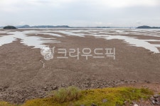 바다, 갯골, 갯벌, 수로, 섬, 사진,이미지,일러스트,캘리그라피 - 장구작가 크라우드픽 - 저작권 걱정 없는 상업용 이미지