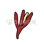 한약, 한의원, 건강, 약재, 한약재, 사진,이미지,일러스트,캘리그라피 - 하이한약작가 크라우드픽 - 저작권 걱정 없는 상업용 이미지