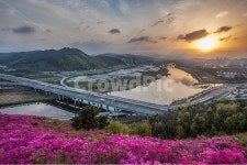 댜구, 서대구ic, 영산홍, 금호강, 일출, 사진,이미지,일러스트,캘리그라피 - 청설작가 크라우드픽 - 저작권 걱정 없는 상업용 이미지