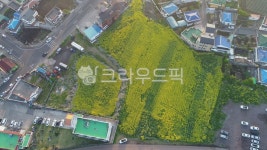 성산일출봉, nature, 자연, outdoors, 옥외, 사진,이미지,일러스트,캘리그라피 - yooofa작가 크라우드픽 - 저작권 걱정 없는 상업용 이미지